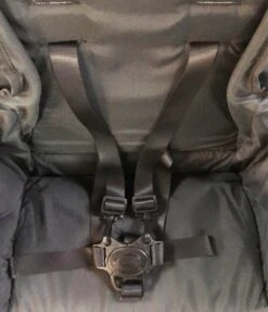 Joovy Caboose Too Graphite Sit And Stand Double Stroller, 2020, Black -Tiny Steps House 2f0768d4f0806c53c7435be0677e373d