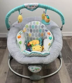 Taggies Soft N Snug Bouncer