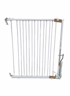 Tiny Steps House -Tiny Steps House 3a953bef 6a64 4529 a8ed 11e289dd2d43