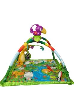 Fisher Price Zoo Playmat