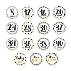 Pearhead Monthly Belly Stickers 7 Pearhead Monthly Belly Stickers -Tiny Steps House 61txT gRnvL. SL500