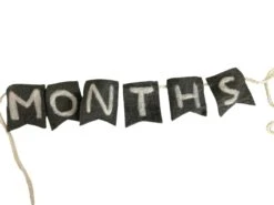 Monthly Milestone Banner -Tiny Steps House b2f9d21580eeb94ba471c8b0873226ae
