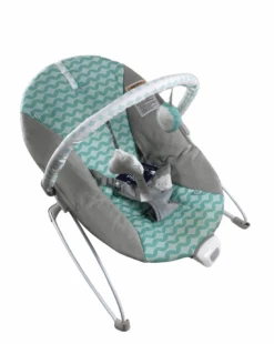 Ingenuity Bouncity Bounce Vibrating Deluxe Baby Bouncer