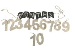 Monthly Milestone Banner