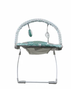 Ingenuity Bouncity Bounce Vibrating Deluxe Baby Bouncer -Tiny Steps House e732cbd7 2997 41b6 8d64 2e67e4bd7761