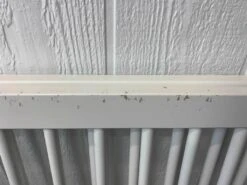 Oeuf NYC Sparrow Crib With Mattress -Tiny Steps House e77066107269741eded78f1a89d9db46